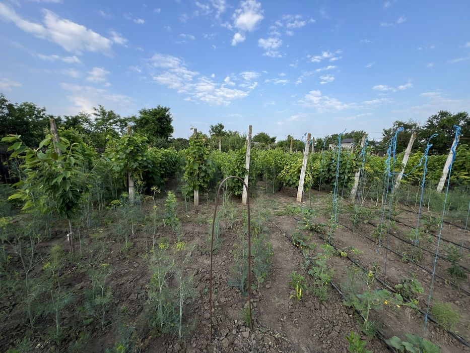 Casa Lacu Sarat Braila