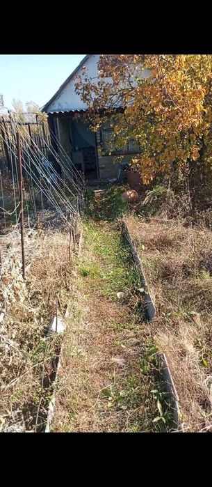 Дача сад Здоровье