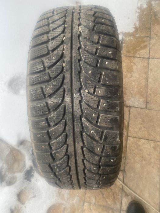 Автошины машины продам