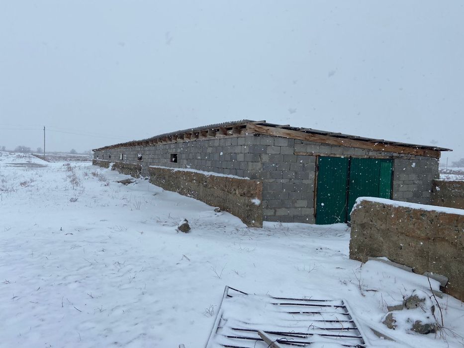 Продается К/Х Каратальском районе в г. Уштобе