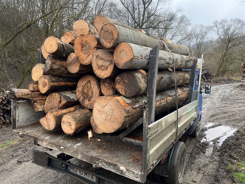 Lemn de foc    Lemne de foc