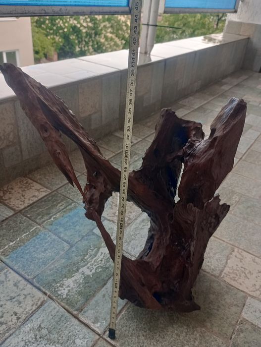 Голям Мангров корен за аквариум..терариум