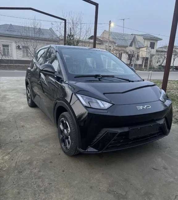 byd seagull, naxt va halol nasiya