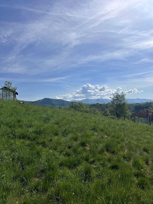 Teren intravilan Bughea de Sus - suprafata 3500m