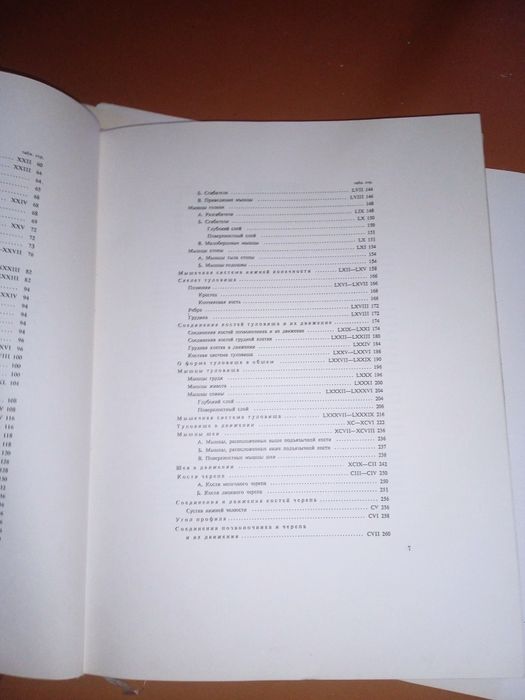 Анатомия для художников. Енё Барчи.