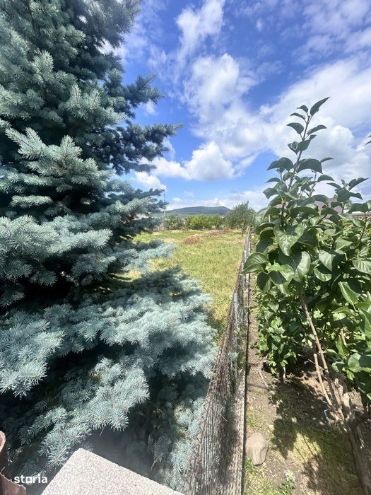 - Oportunitate teren intravilan  1300 mp str. Vasile Petri -zona premi