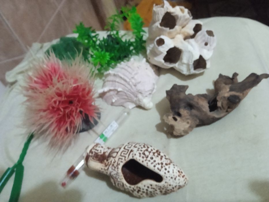 Ракушки искусственные водоросли  для аквариума