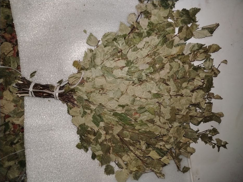 Продам берёзовые банные веники