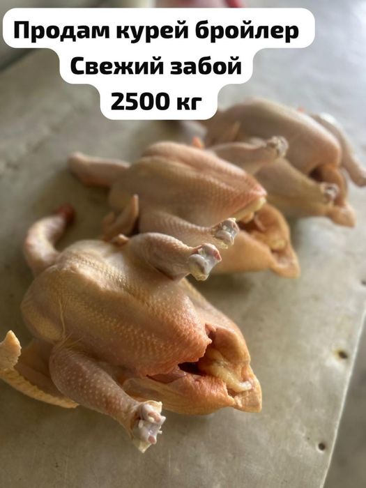 Домашние бройлеры