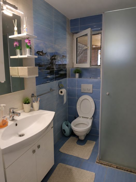 Къща 250 кв.м + кирпичена къща 200 кв.м, общ двор 2500 кв.м