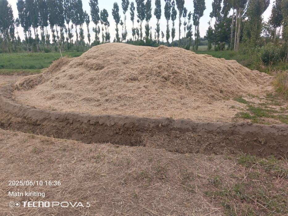 Саман сатилади срошни маи́да халталаб беремиз халтаси 20 минг.