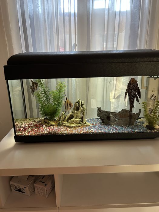 Acvariu 100 l complet