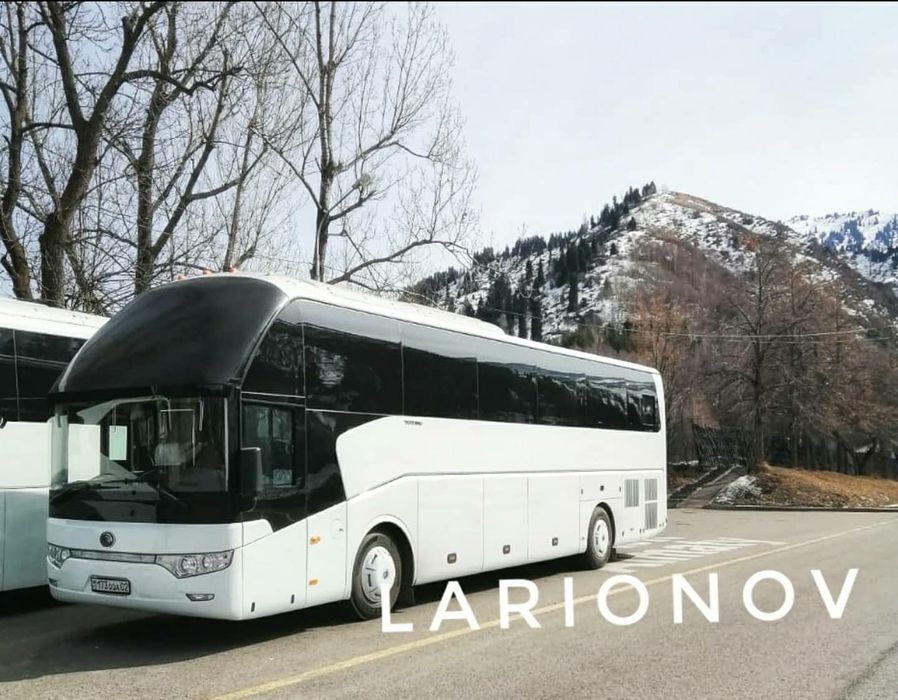 Автобусы в аренду