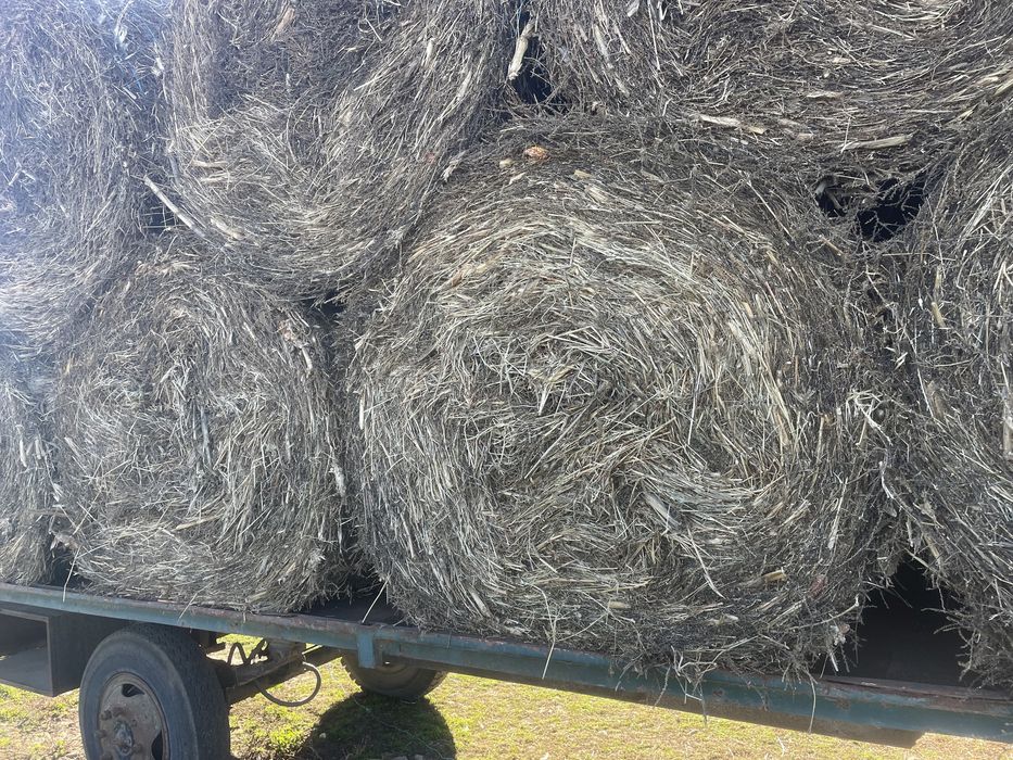 Baloti de fan costrei fan