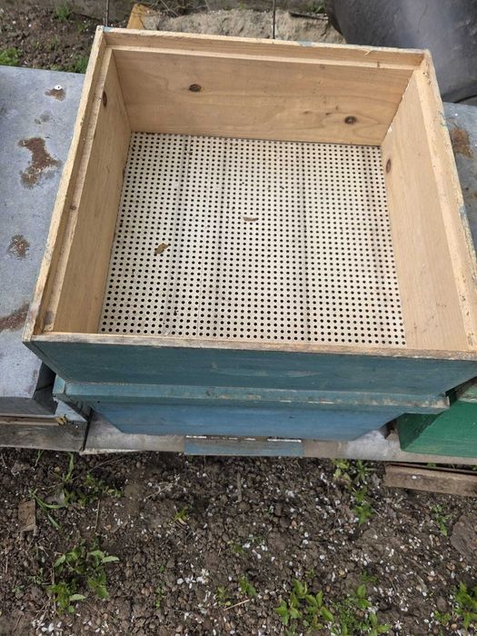 Vand cutii albine - jumatate de cat - Braila