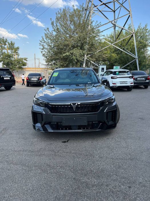 Voyah free 2024/2025 appolo tech