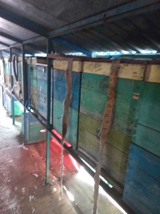 Пчелопавильон. Прицеп для пчёл.