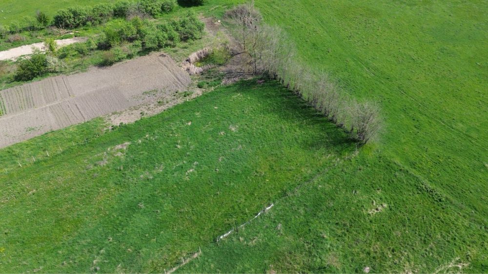 Teren intravilan Ianova 1508mp. Parcelabil