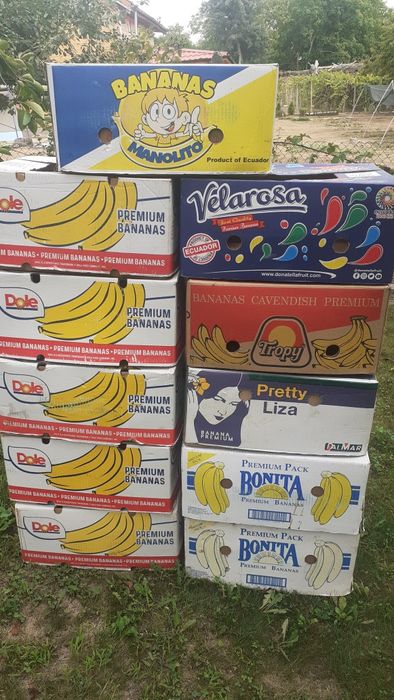 Кашони от банани