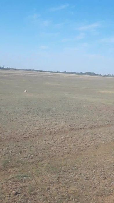 Продам 1 га земельный участок