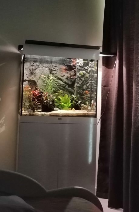 Acvariu Juwel Lido 120L+dulap+Lampa Edge dimabila