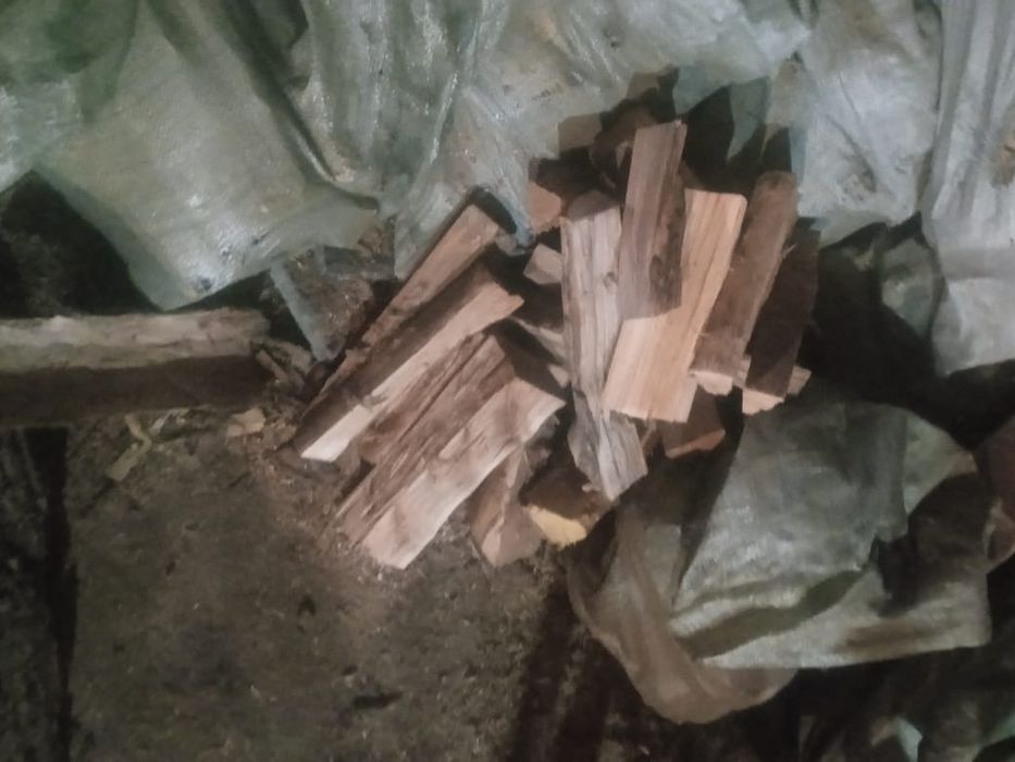 Продам дрова в мешках и кубами
