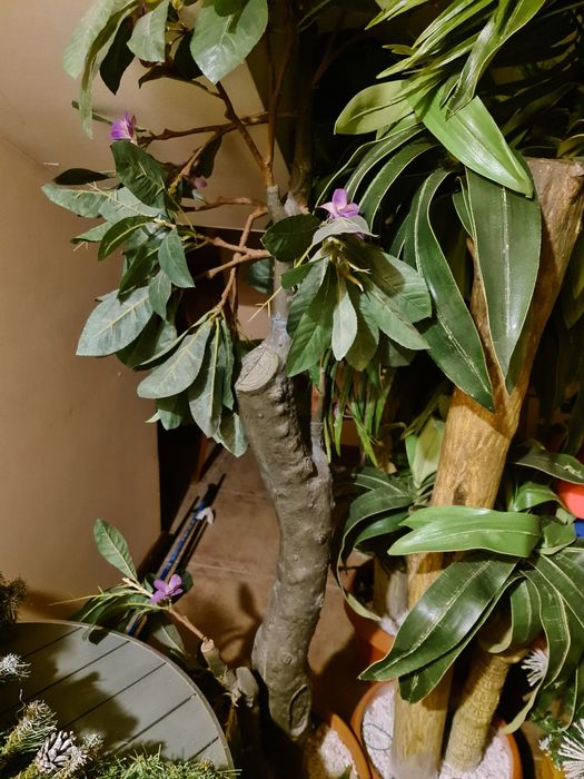 Продам искусственные пальмы по 5000 тг