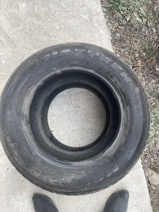 Летние шины без дисков
