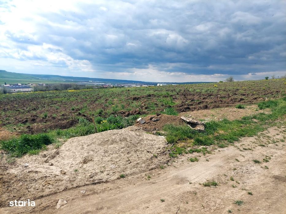 Teren intravilan industrial, zona Zeelandia, E583, utilitati