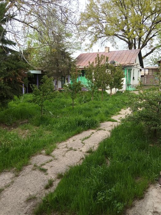 Жилой дом в городе Сарыагаш