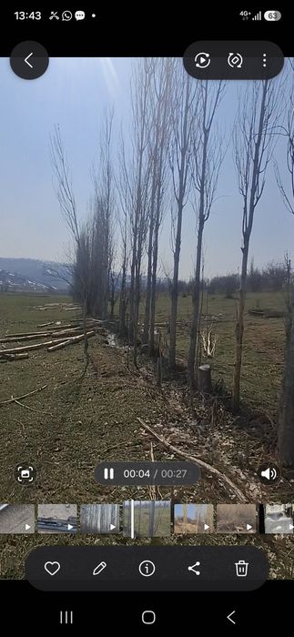 Терек сатылады 300-400 шт бар