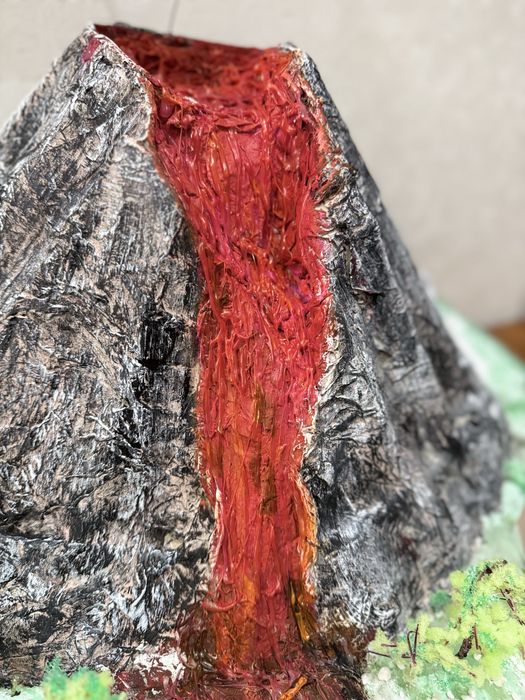 Проект в школу /университет