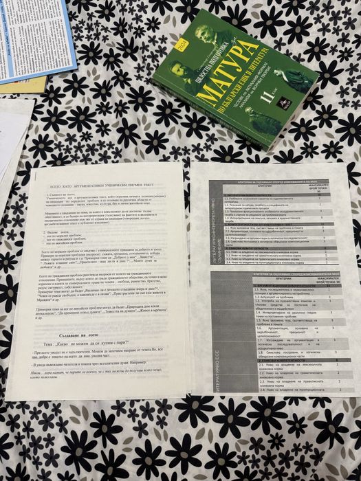 ДЗИ Бел-подготовка