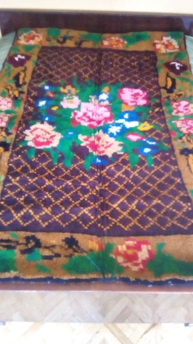 китеници - нови