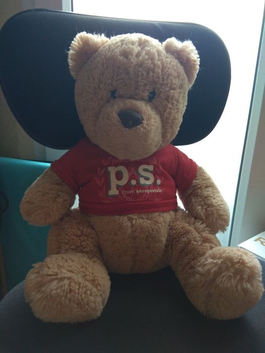 Плюшено мече и куче