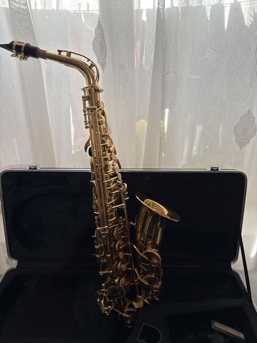 Saxofon parrot , alto