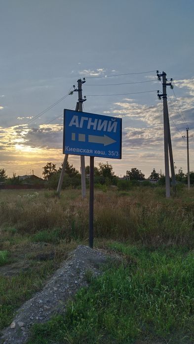Бесплатно щенята