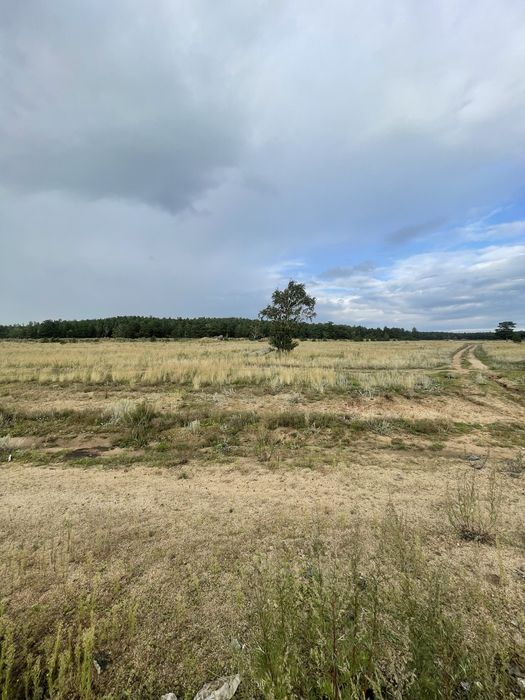 Участок 20 соток боровое