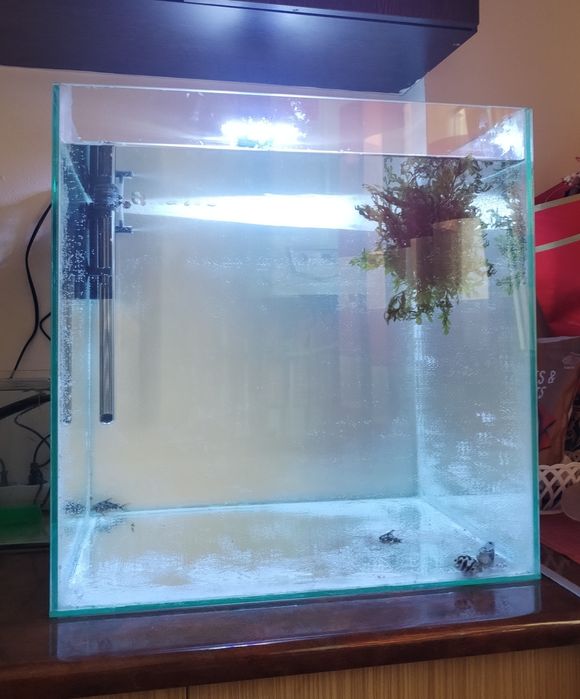 Vând acvariu 125 de litri complet echipat !