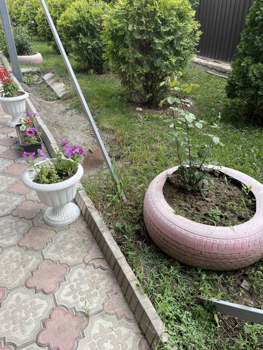 Недвижимость в бесагаше