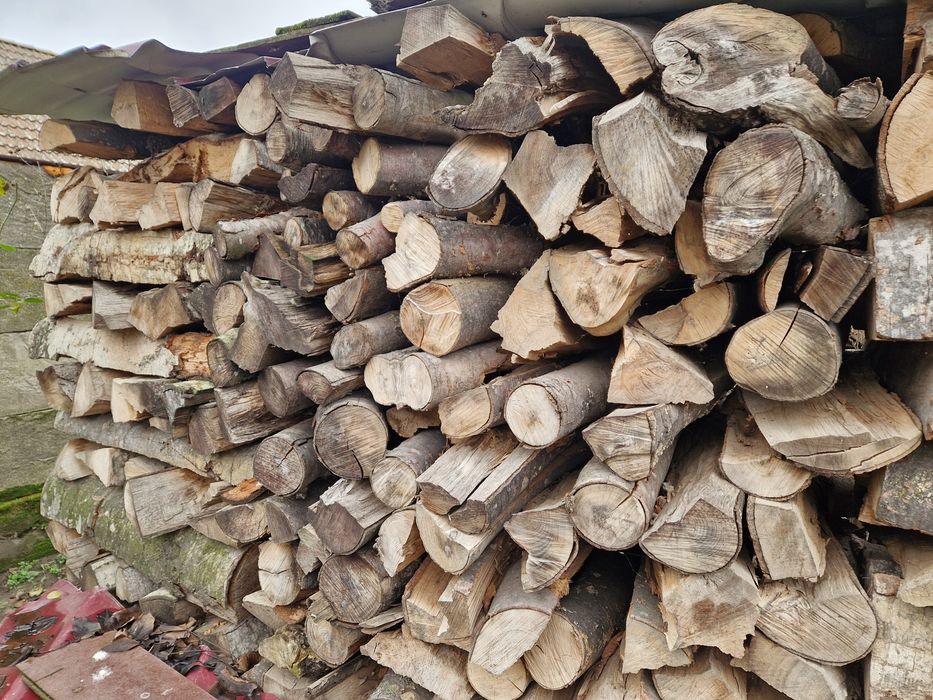 Lemne de foc fag uscat