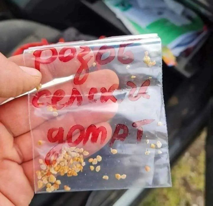 Разсад домати селски розов домат НЕХИБРИД