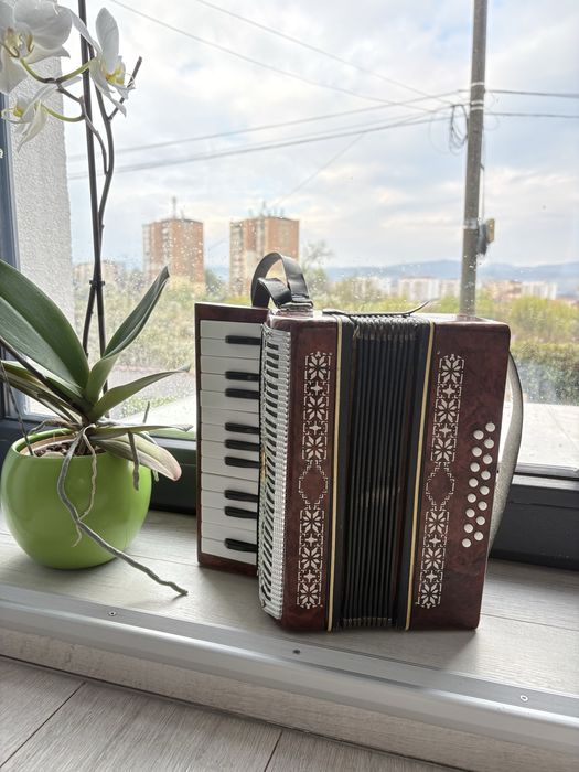 Acordeon copii 16 basi Razno