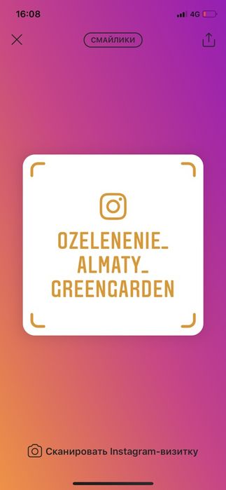 Пересадка елей и других деревьев