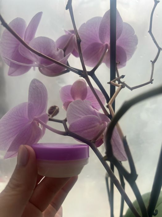 Крем против хемероиди