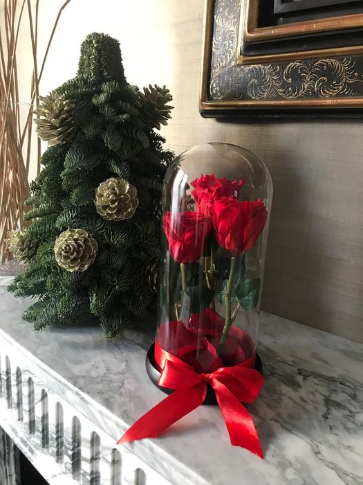 Trandafiri criogenati rosii