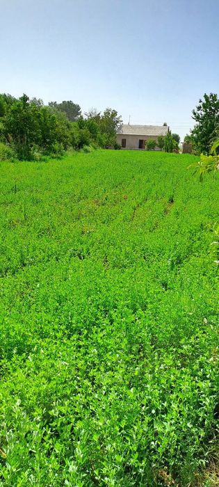 6 sotix yer sotiladi