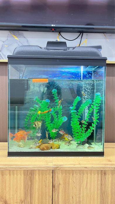 Продам Аквариум