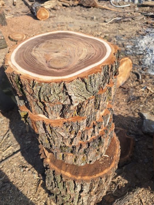 Продам спилы карагача