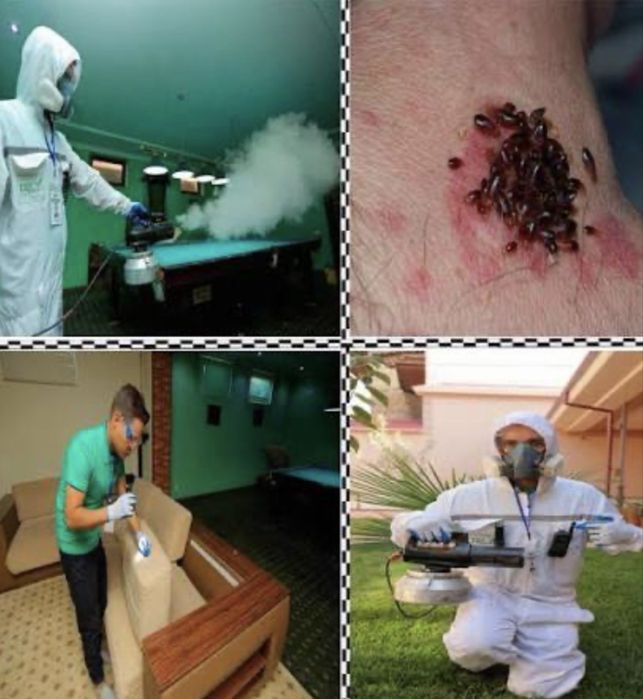 Дезинфекция,Дезинсекция,Дератизатция